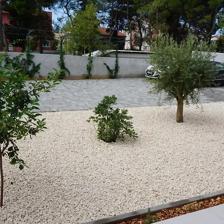 Jozef Vodice
