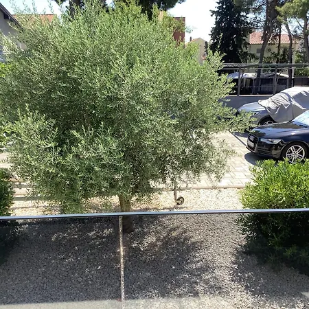 Jozef Vodice